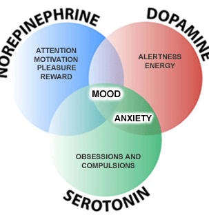 5 HTP: Blissful Drug? What Is It and How Does it Work?