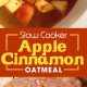 Slow cooker apple cinnamon oatmeal, - great overnight idea for a healthy warm breakfast