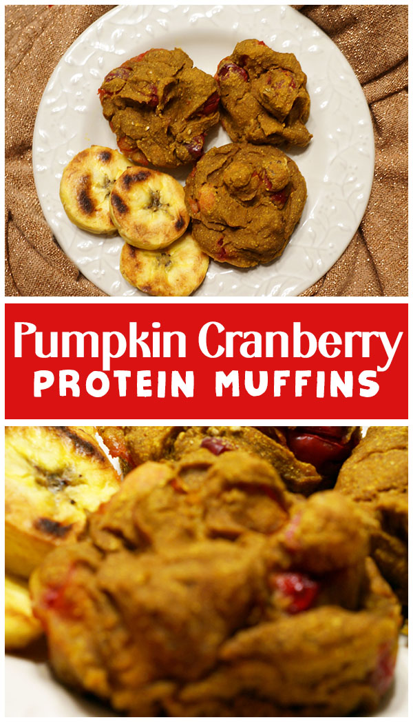 Vanilla Pumpkin Protein Muffins - All the Fall flavors, no added sugar, no dairy, no eggs - vegan recipe
