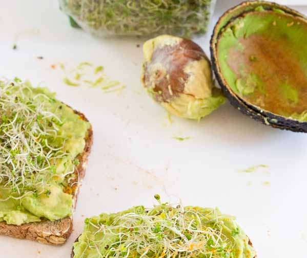 Avocado and Sprouts toast!