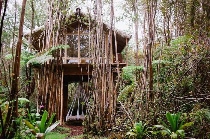 Dreamy Tropical Treehouse