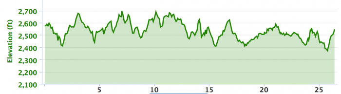 Elevation Chart of Jerusalem Marathon