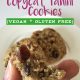 Whole Foods Copycat Tahini Cookie Recipe - dairy free, gluten free dessert that's still ooey gooey and chocolatey