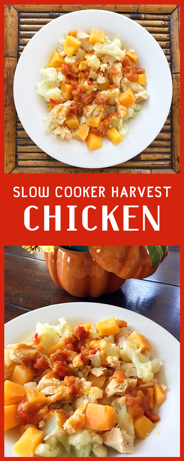 Slow Cooker Chicken Recipe - Easy, Dairy Free, Gluten Free, Fall flavors, squash, cauliflower and plenty of options.