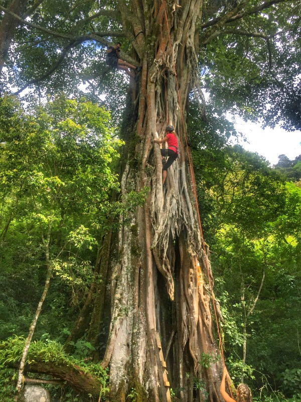 Tree climbing in Costa Rica adventure vacation
