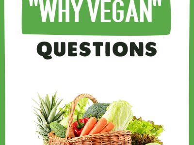 Answering Common Why Vegan Questions