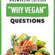 Answering Common Why Vegan Questions