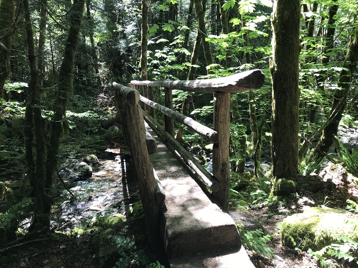 Oregon Trail running 