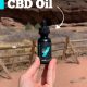 How to Use CBD Oil