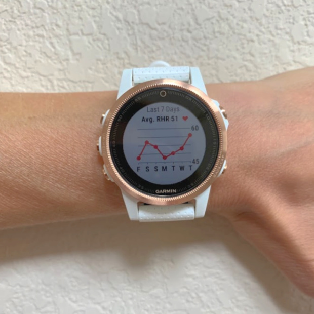 Garmin Fenix 5x Hiking Review & Easy Use Guide 