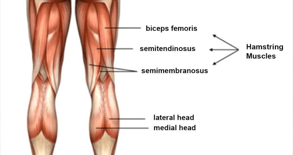 runner hamstrings