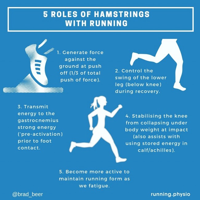 hamstrings while running