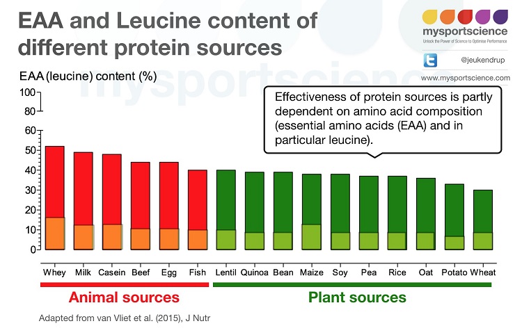 leucine content of different foods