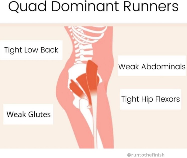 Quad dominant runners