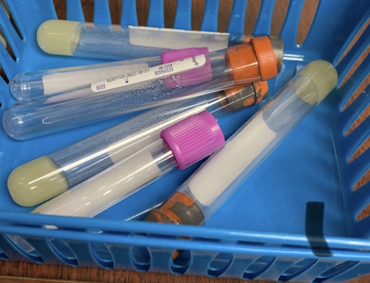 is insidetracker worth it