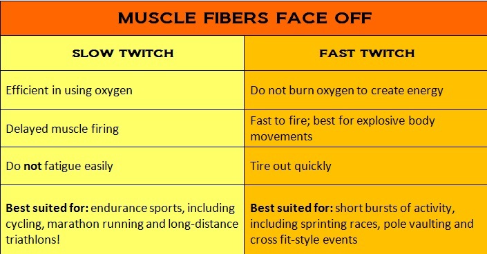 create fast-twitch muscle