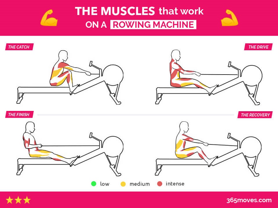 Rowing Vs Running Which Workout Is