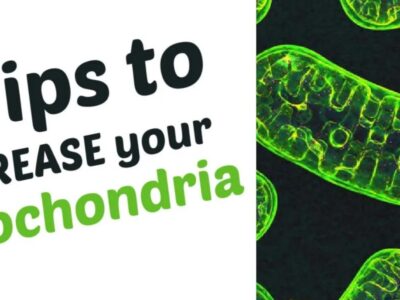 How to increase mitochondria