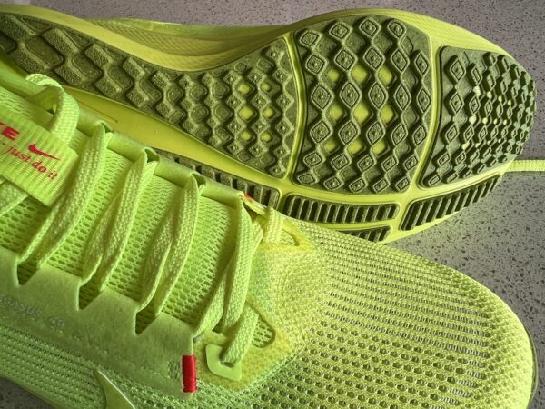 nike downshifter vs pegasus