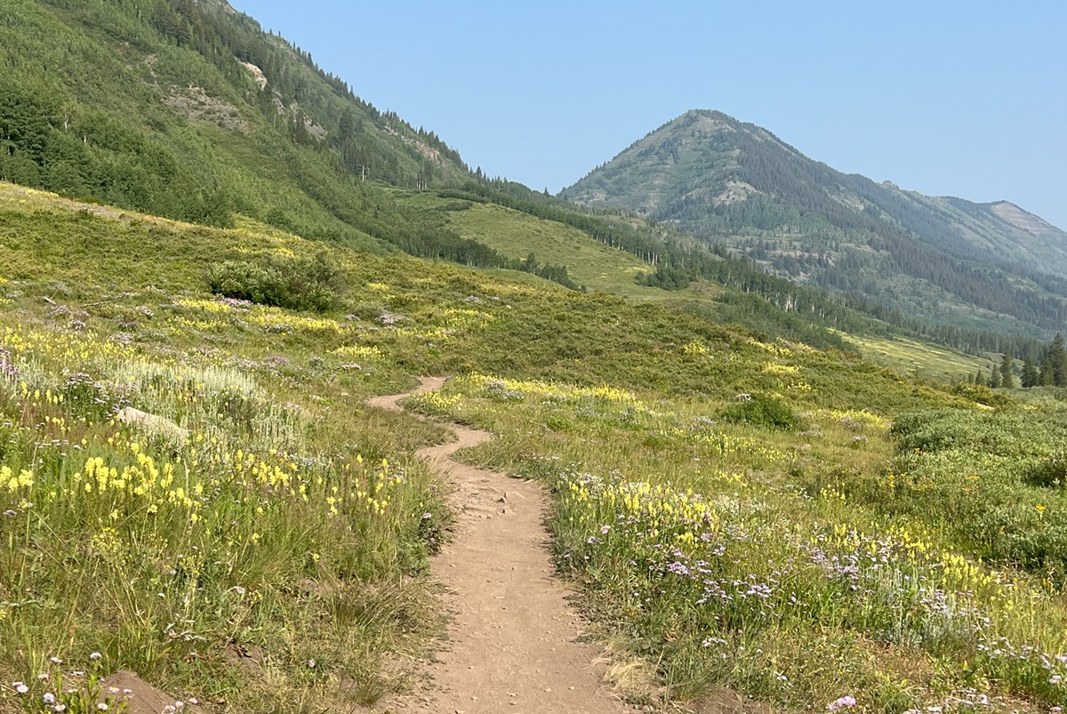 13 Advantages of Working Hills (That Will Get You Shifting)